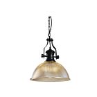 Suspendu Young Lighting 3069P noir 1-lumière