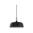 Suspendu Young Lighting 3073P-BK noir 1-lumière