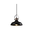 Suspendu à cordon Young Lighting 3085P-BK noir 1-lumière