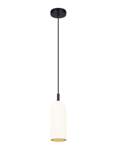 canarm_ipl729b01bk-w_1