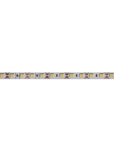 dainolite_dlt-17340