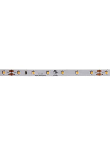 dainolite_dlt-4835