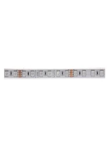 dainolite_dlt-od-rgb