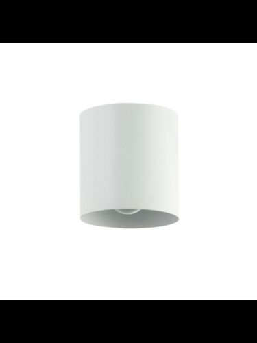 dainolite_trn-41fh-mw