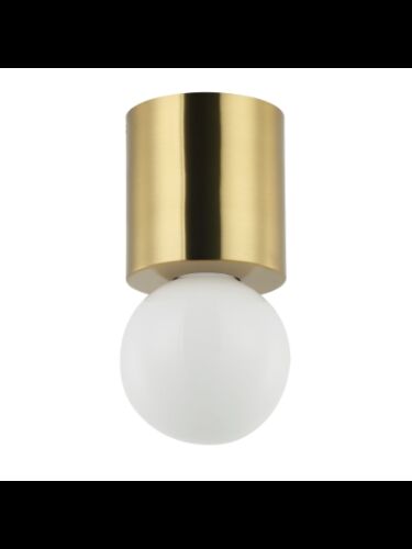 dainolite_trn-51fh-agb