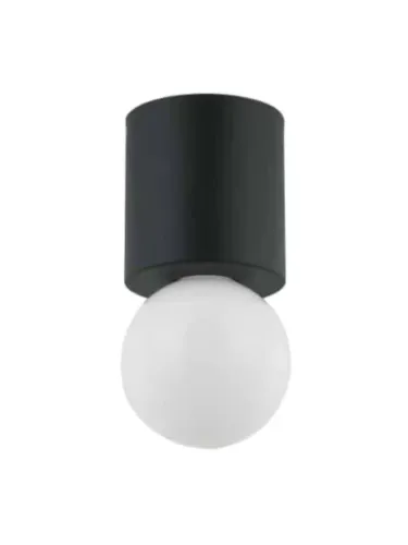 dainolite_trn-51fh-mb