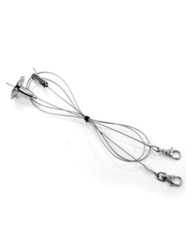 illuminex_l2850-0002