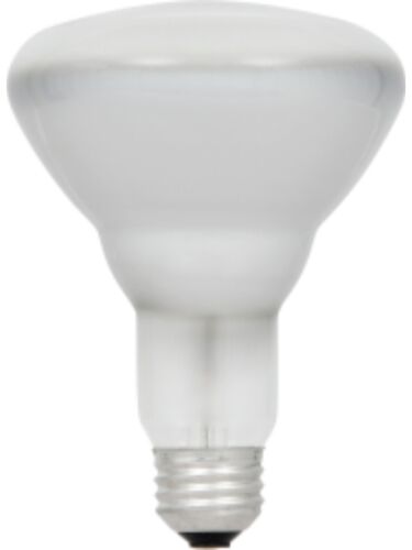 ledvance_50br30-hal-120v
