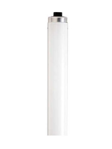 satco_s6589