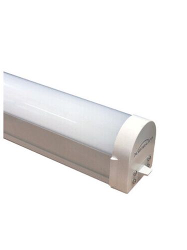 xeleum_xbat04-s50k-bunw