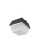 1naturaled_led-fxpg60-50k-db