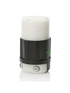 2613-PLC-illum