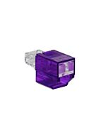 RJPB_purple_325