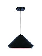 canarm_ipl1020a16bk