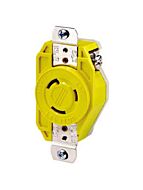 leviton_23cm-10