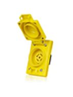leviton_67w81