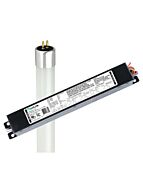 maxlite_l13t5ex240dr1l13