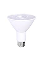 ortect_par30cob10w