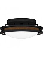 quoizel-lighting_qfl5610ni