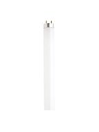 satco_s6544