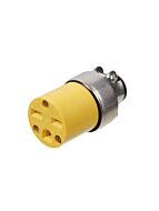 vista-electrical_45405