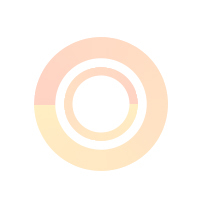 test_custom_options
